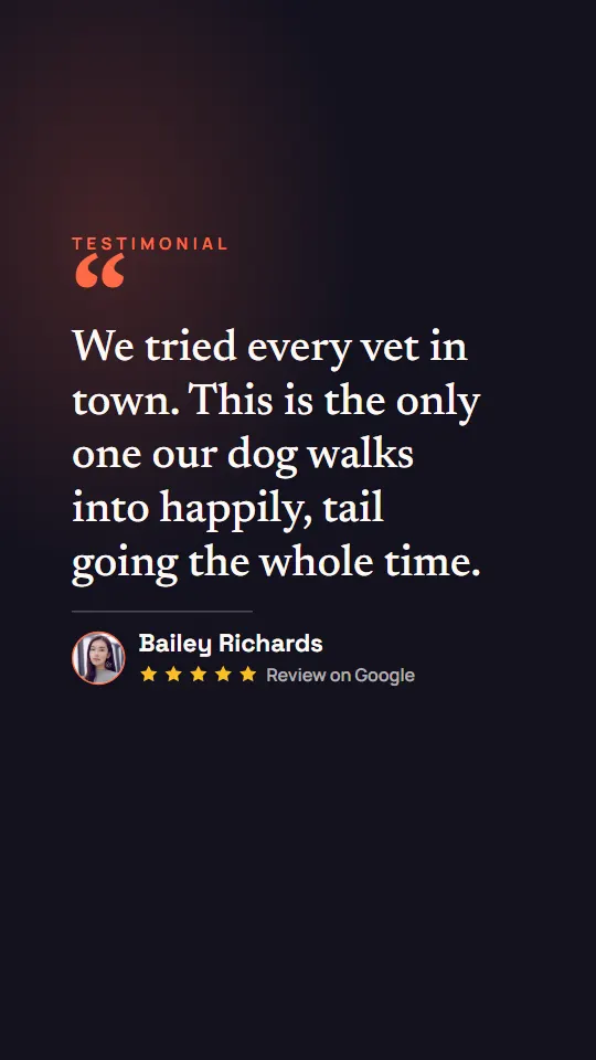 Editorial: a serif quote from Bailey Richards under a coral TESTIMONIAL kicker on a dark background